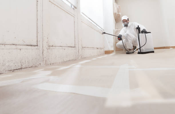 24/7 Emergency Mold Removal experts in Paris, TX