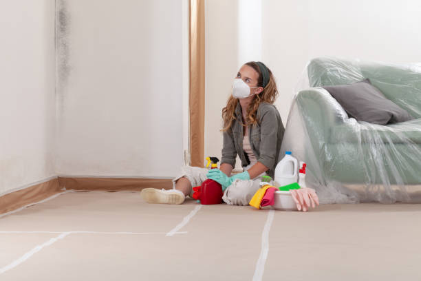 Reliable Mold Removal contractor in Paris, TX by WQB Mold Removal